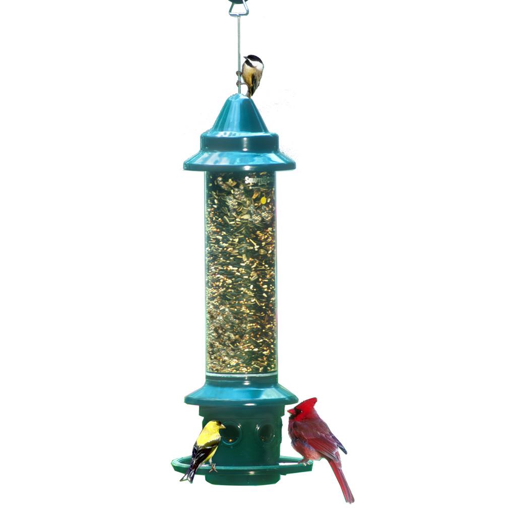 Squirrel Buster Plus with Cardinal Ring Bird Feeder